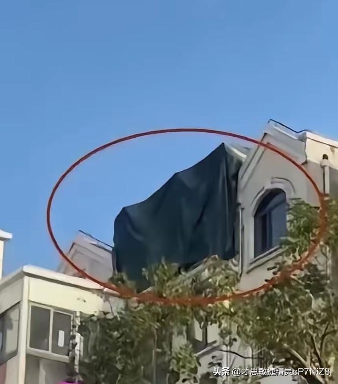 上海，男子发现小区一栋楼的楼顶盖了块黑布，怀疑存在违建，便进行了举报。哪曾想，第
