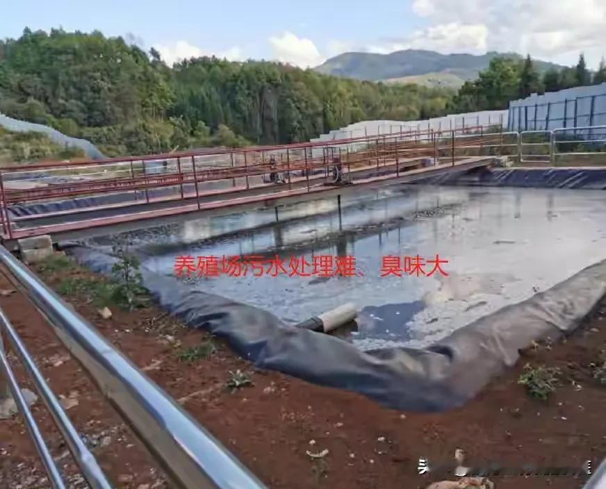 现今猪场污水处理是关键难题，集团化猪场设备运行成本高常闲置，临时处理措施也难治本