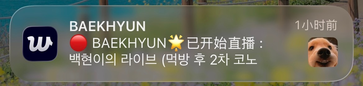 边伯贤 260819🎵고칠게（我会改） - 镇元너의 모든 순간（Every 