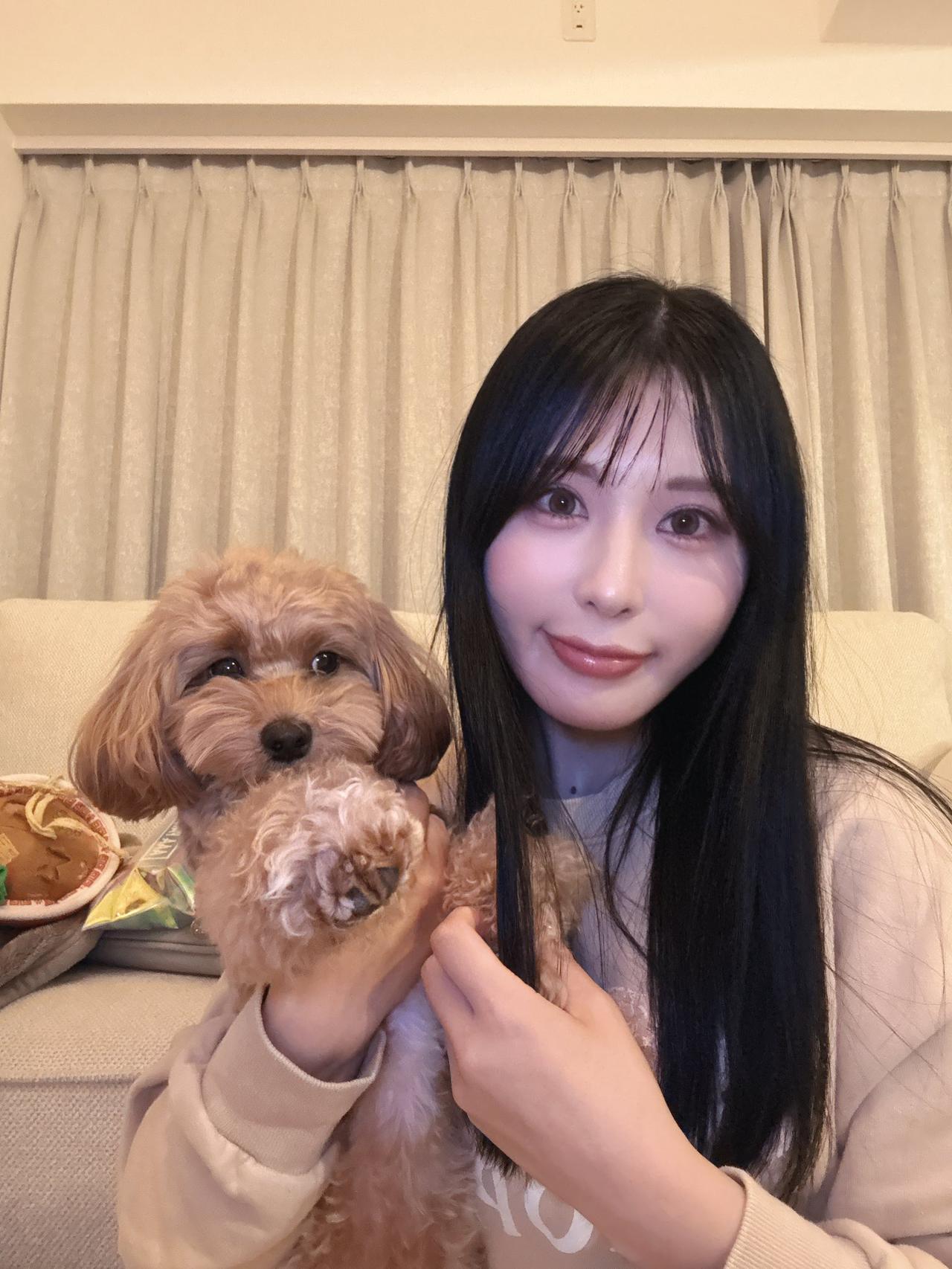 和我的毛孩子一起享受车内的美好时光😊和毛孩子一起开车出门，本是温馨事，可也会有