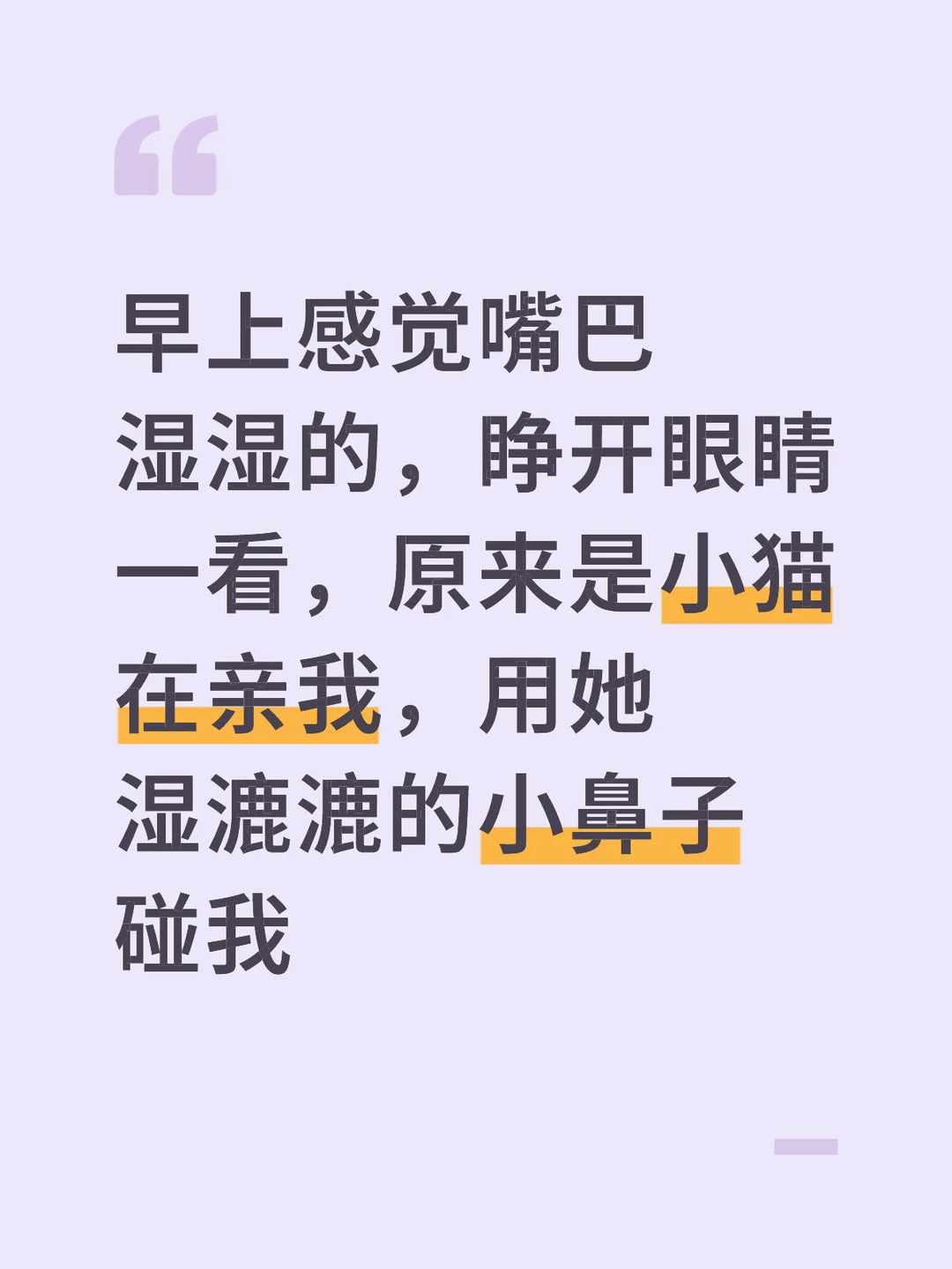 被我发现后就走了