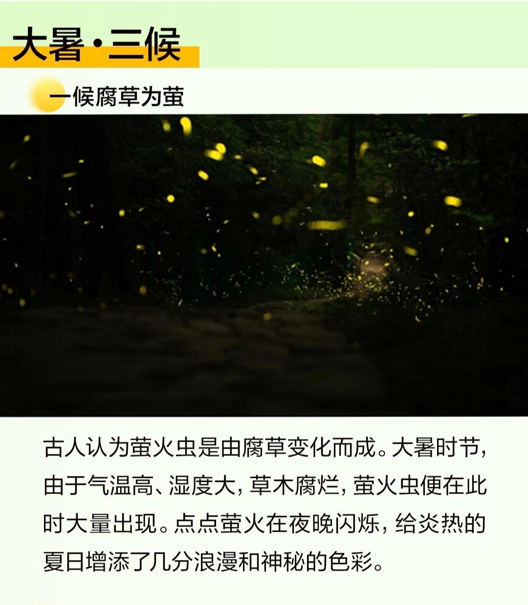 【今日大暑，晚夏且安】1、风起时，带着雨后松林清冽的气息。檐角的铜铃，余音袅袅，