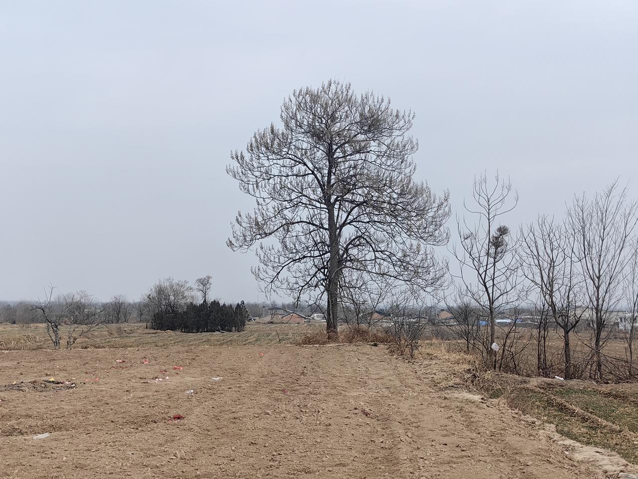 分享一下你随手拍下的照片