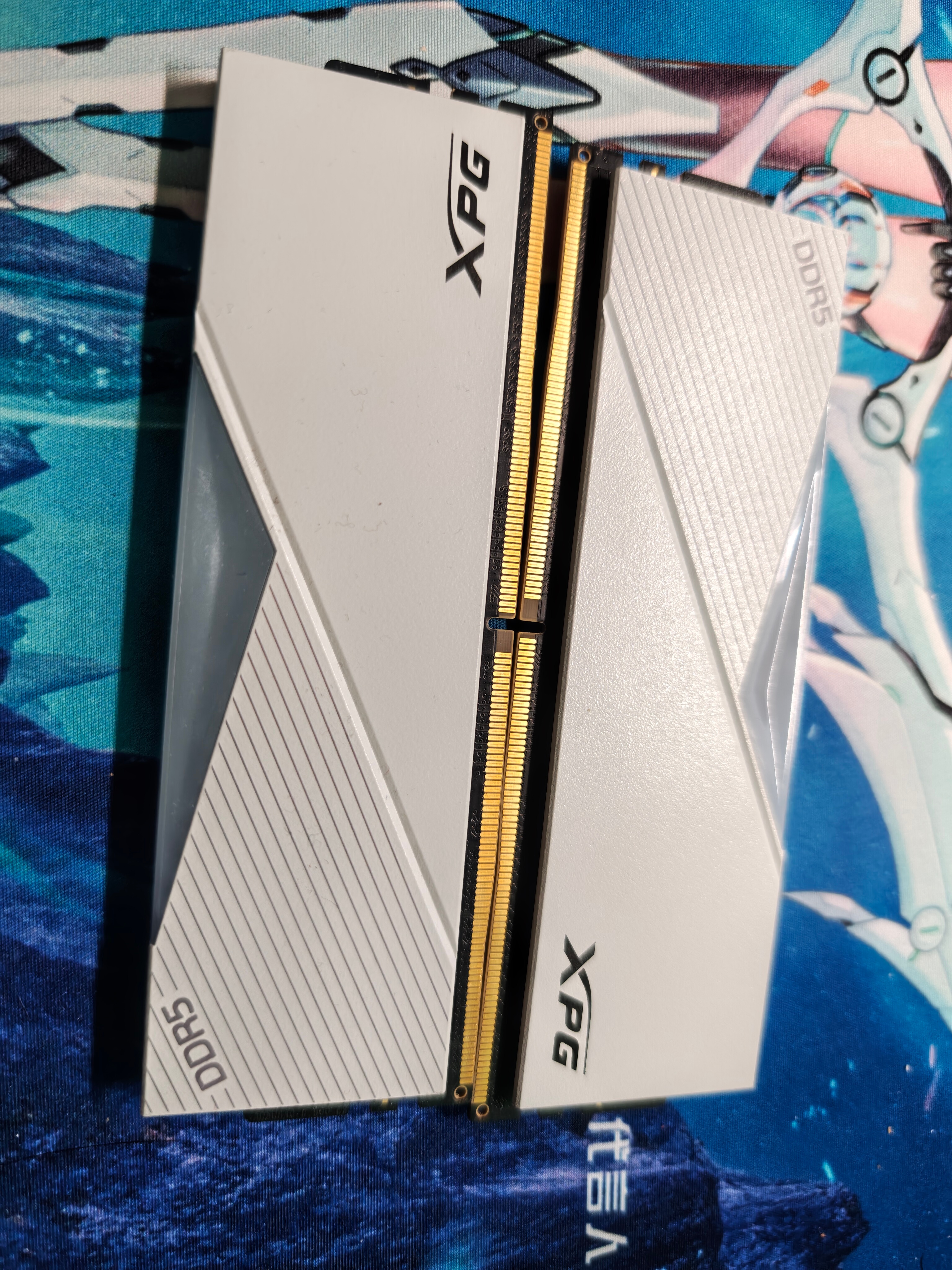 我现在天天把内存放在手边盘，现在这玩意比手把件升职还快 