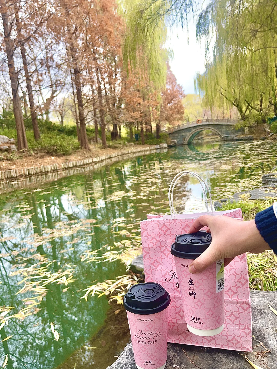 带着诺杯逛四象限大明湖