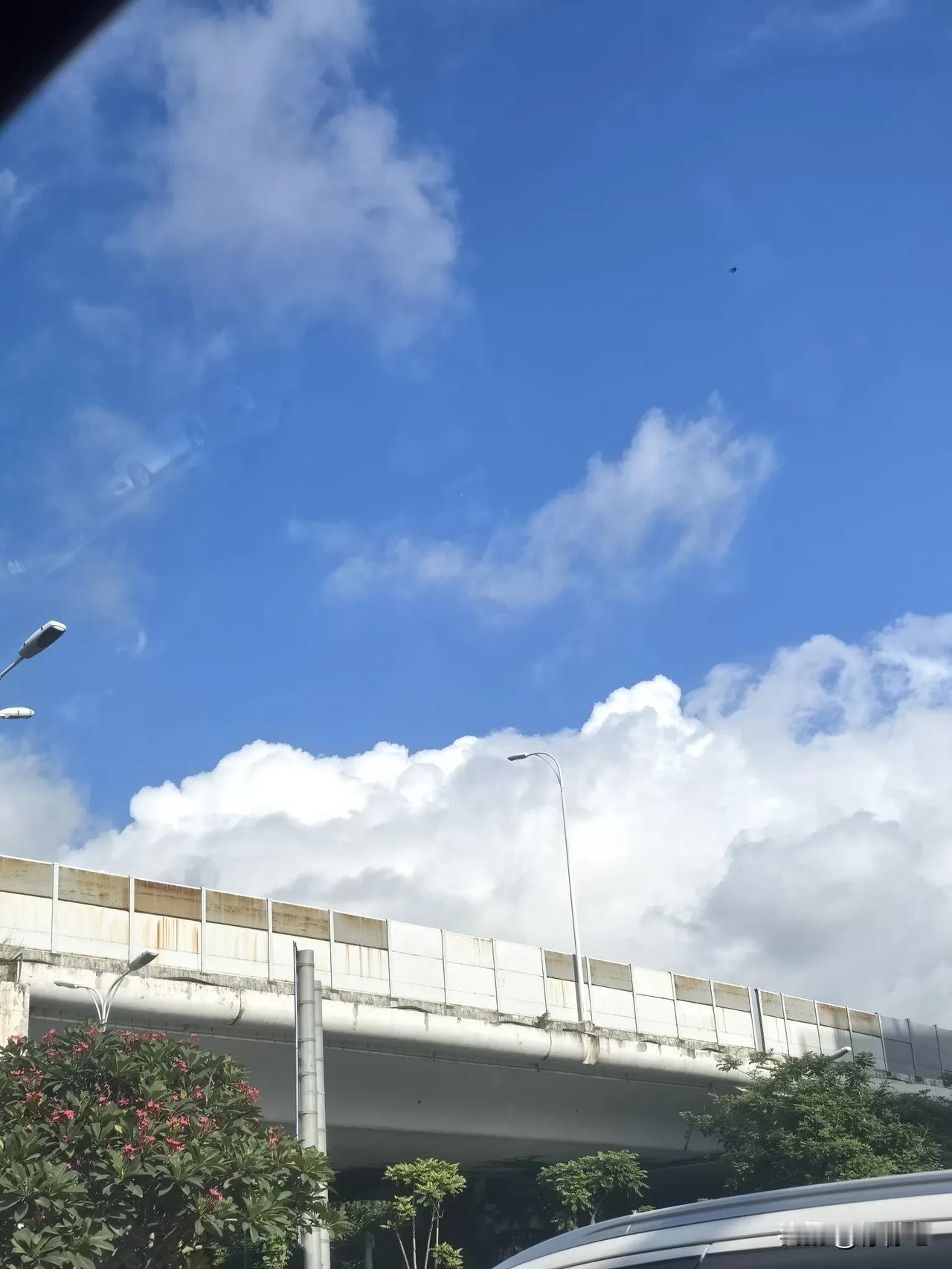 夏日生活打卡季