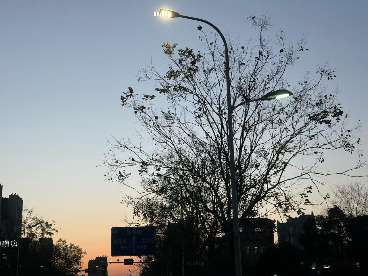 时光弹指而过，年龄也在马不停蹄地向前。我好像总慢半拍，还没做好准备就被推着往前走