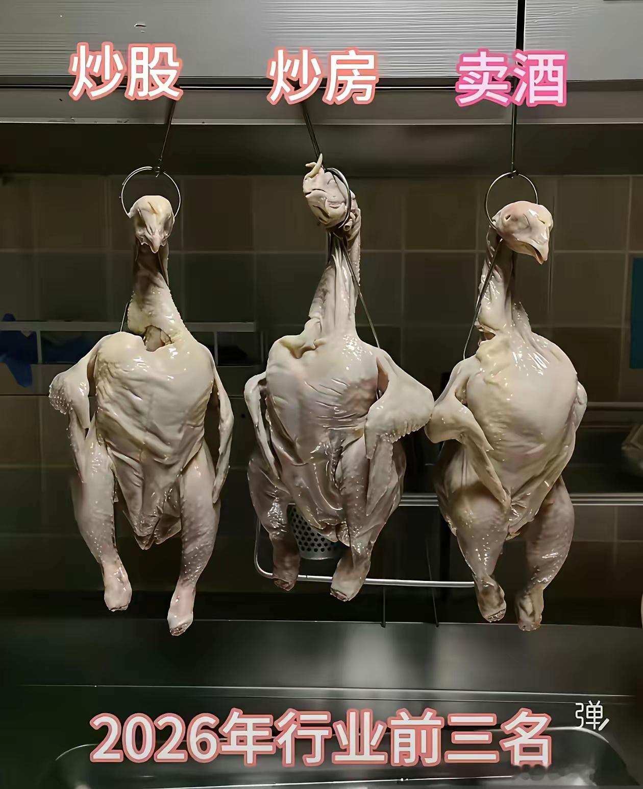你是哪只？ ​​​
