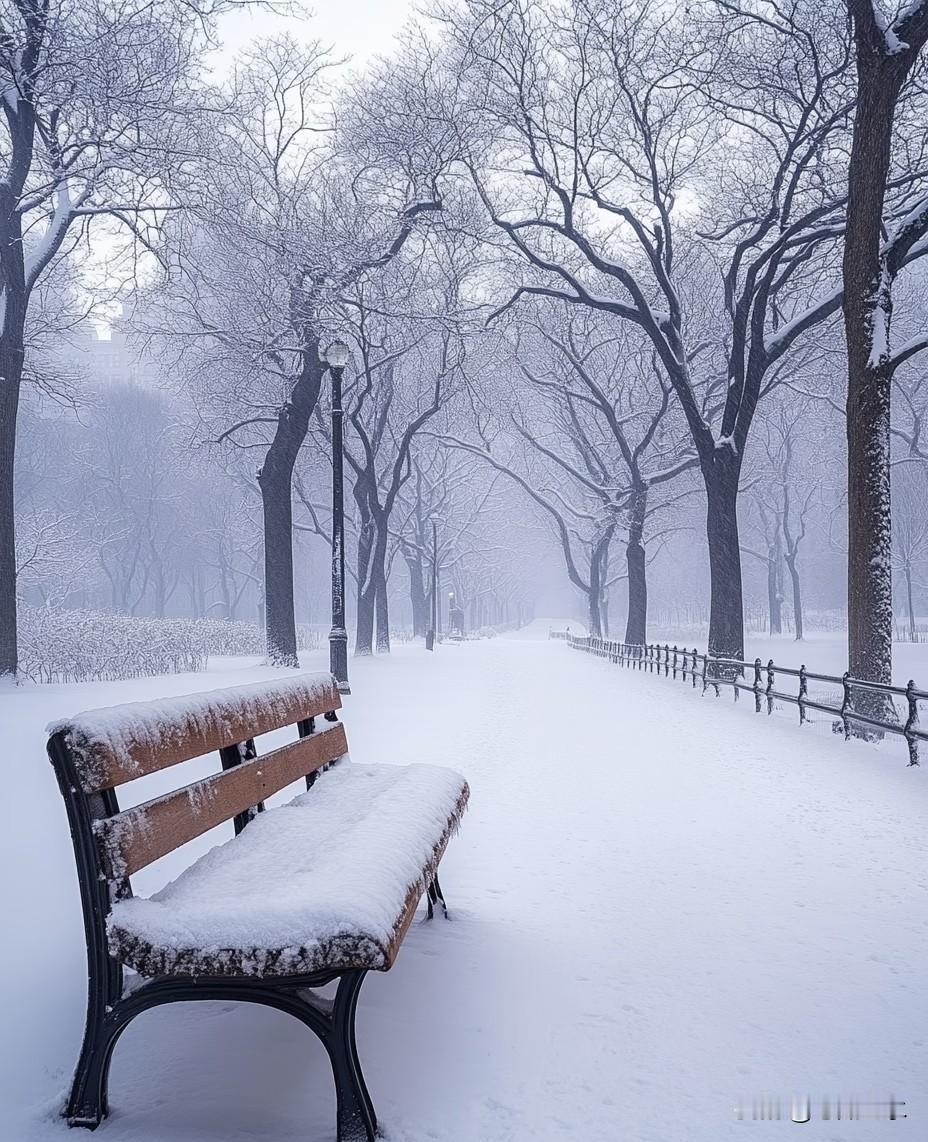 分享一张雪景图