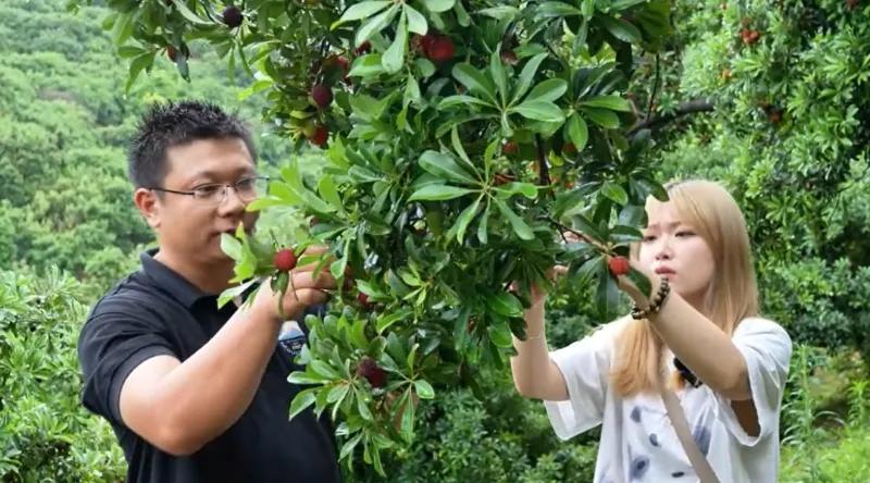 生鲜寄送新纪元！菜鸟速递“平价风暴”席卷全国，保鲜费全免畅享鲜甜。
 
不可否认