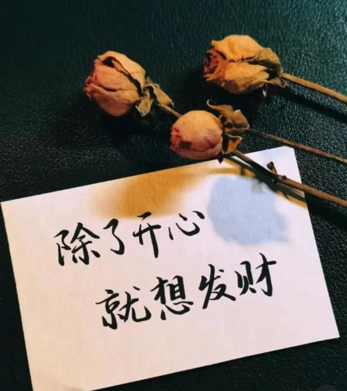🔅ʜᴀᴘᴘʏ̆̈🌿𖠚ᐝ近况:人淡   日子也淡 