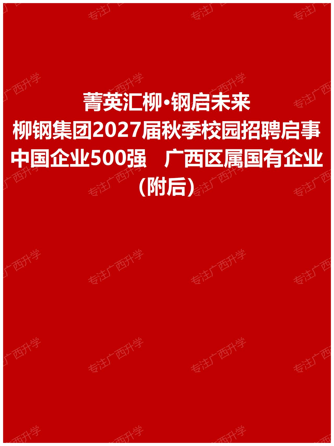 广西柳州钢铁集团有限公司2027届秋季校园招聘启事——