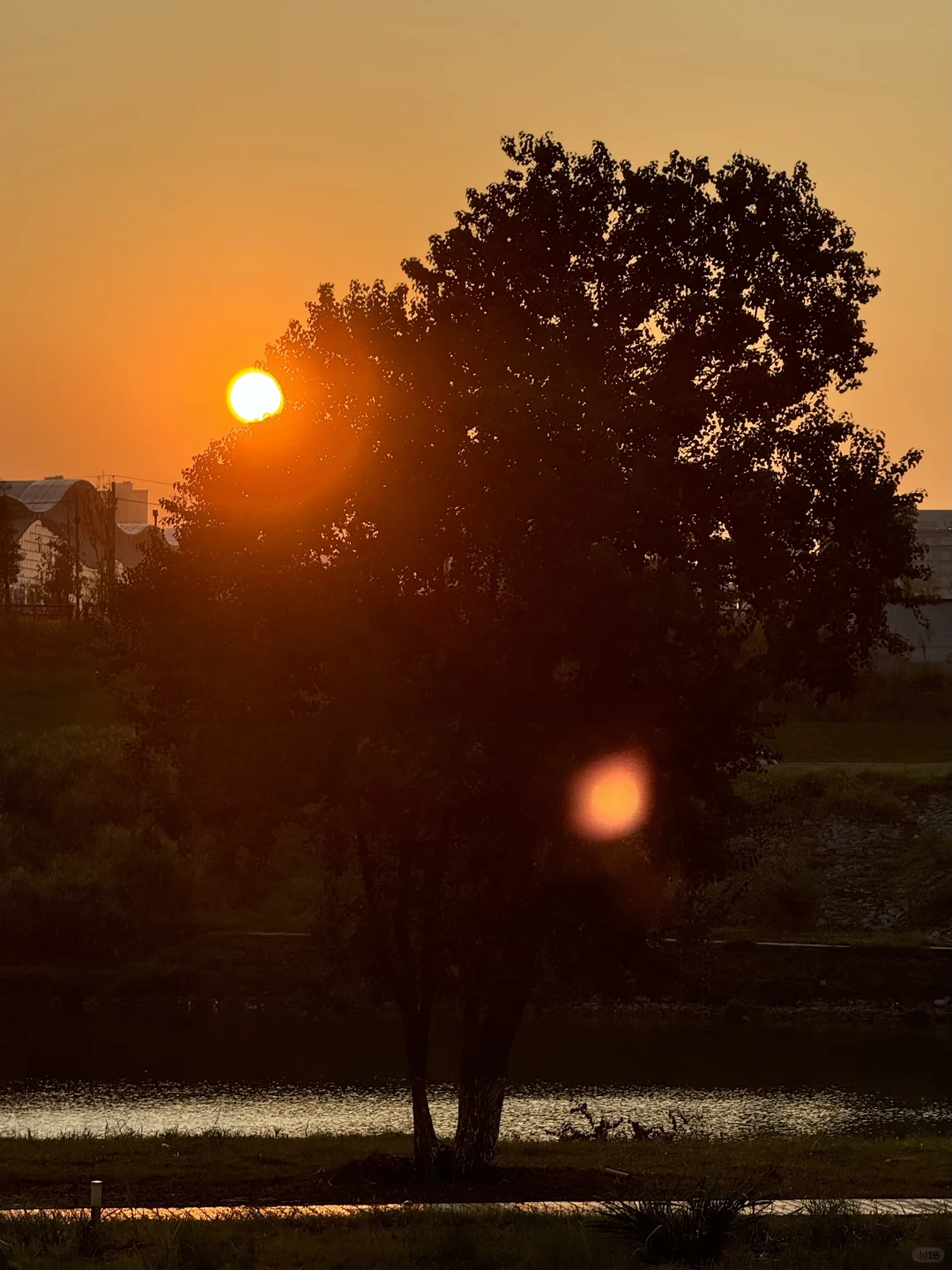 live图｜一些暖色瞬间