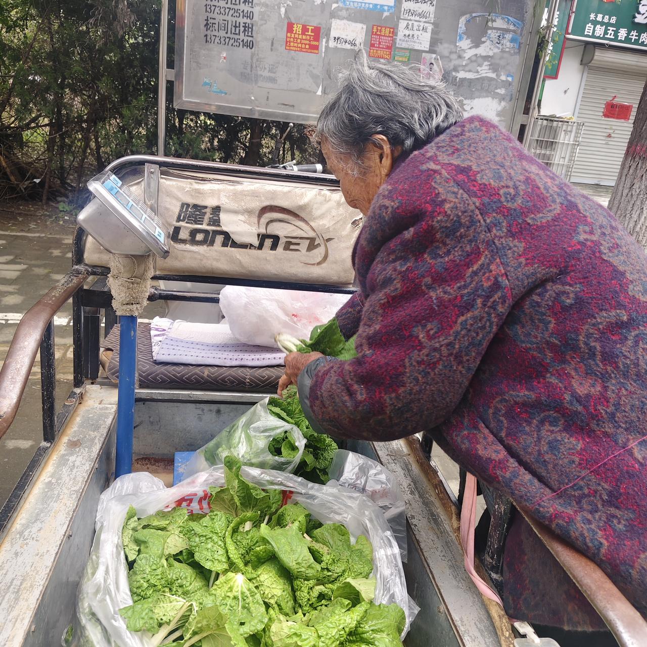 下楼去买青菜时，我碰到了一位老奶奶。她那里一大兜青菜只卖1块钱。我虽心怀悲悯，却