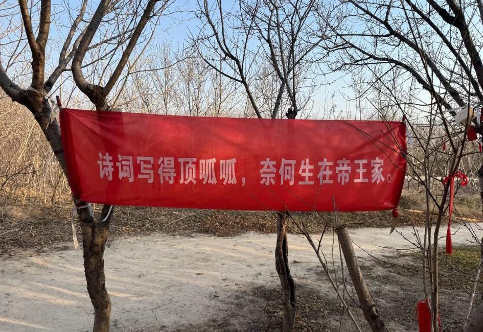 看到这句打油诗“诗词写得顶呱呱，奈何生在帝王家”，你第一个会想到哪个历史人物？