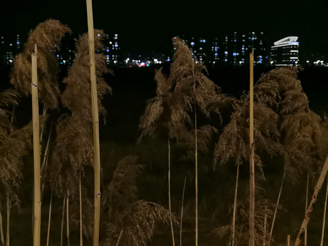 每个人都应该在你擅长的领域耕耘，才会有成就。
多数人没有成就，落落无为，主要是没