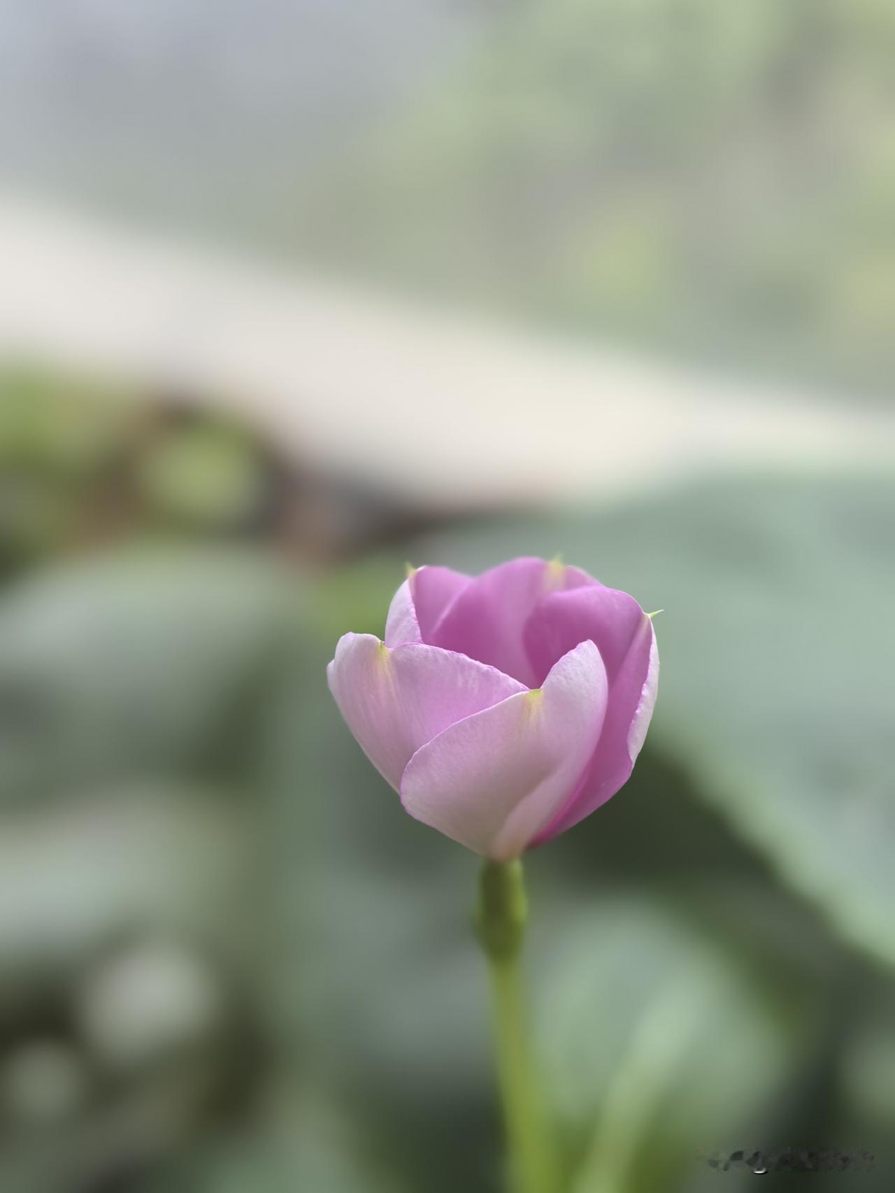 我见到的大多数人，都把自己绷得紧紧的。有50后，60后，70后，80后，90后，