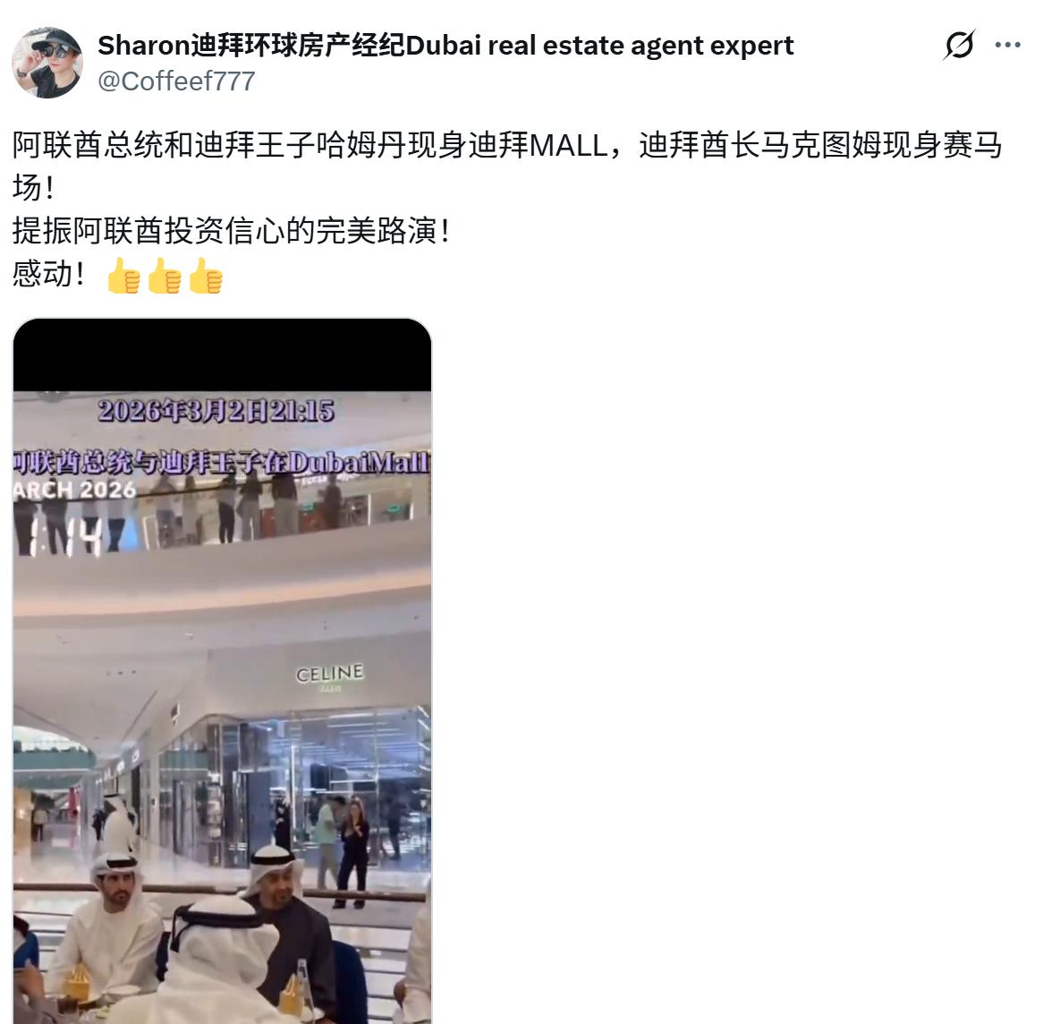 阿联酋总统再怎么逛商场，
阿联酋人再怎么聚会营造氛围，
自伊朗导弹袭来之后，
迪