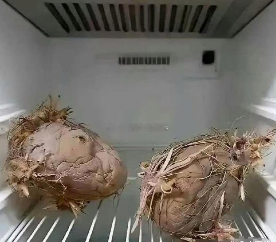 老一辈就是节约，殊不知电费都比他们贵！！！ 