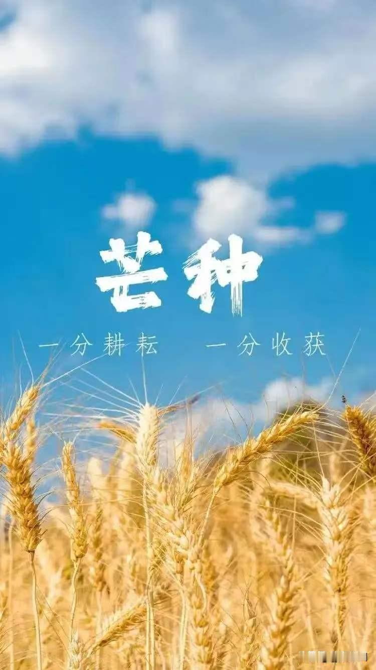 《七律·天道酬勤》
 
自古功名赖苦辛，
虚名俗利莫萦身。
三更灯火磨心志，
四