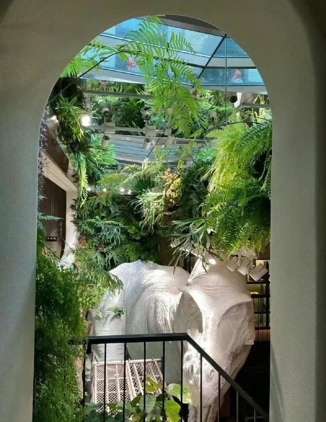 水哥说长大后都是童年还的债  看了今天大国之树直播里水哥的树屋，才知原来童年债可