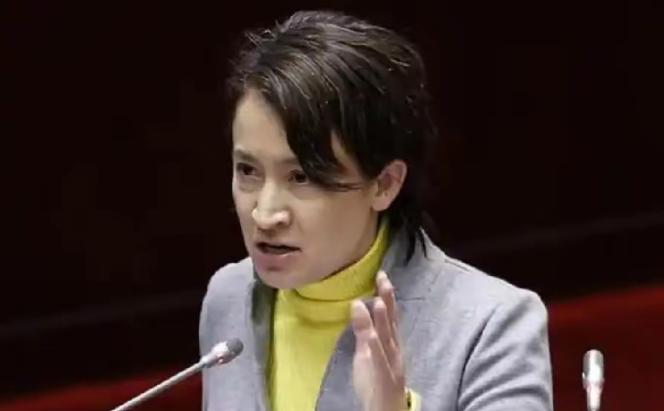 箫美琴恼羞成怒，终于忍不住发话了！

1月29日，箫美琴对媒体说:“国民党赴京参