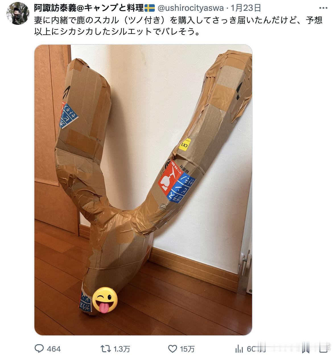 瞒着媳妇偷偷买了一个鹿的头骨（带角的），刚刚收到了，结果它的轮廓比我预想的还要更