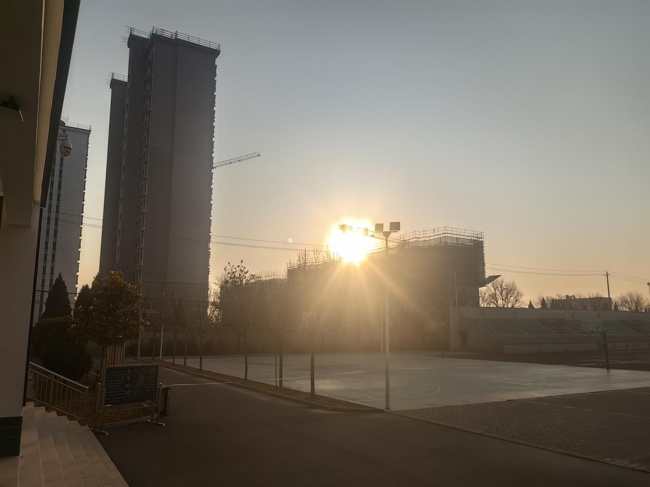 分享一张最近随手拍的照片