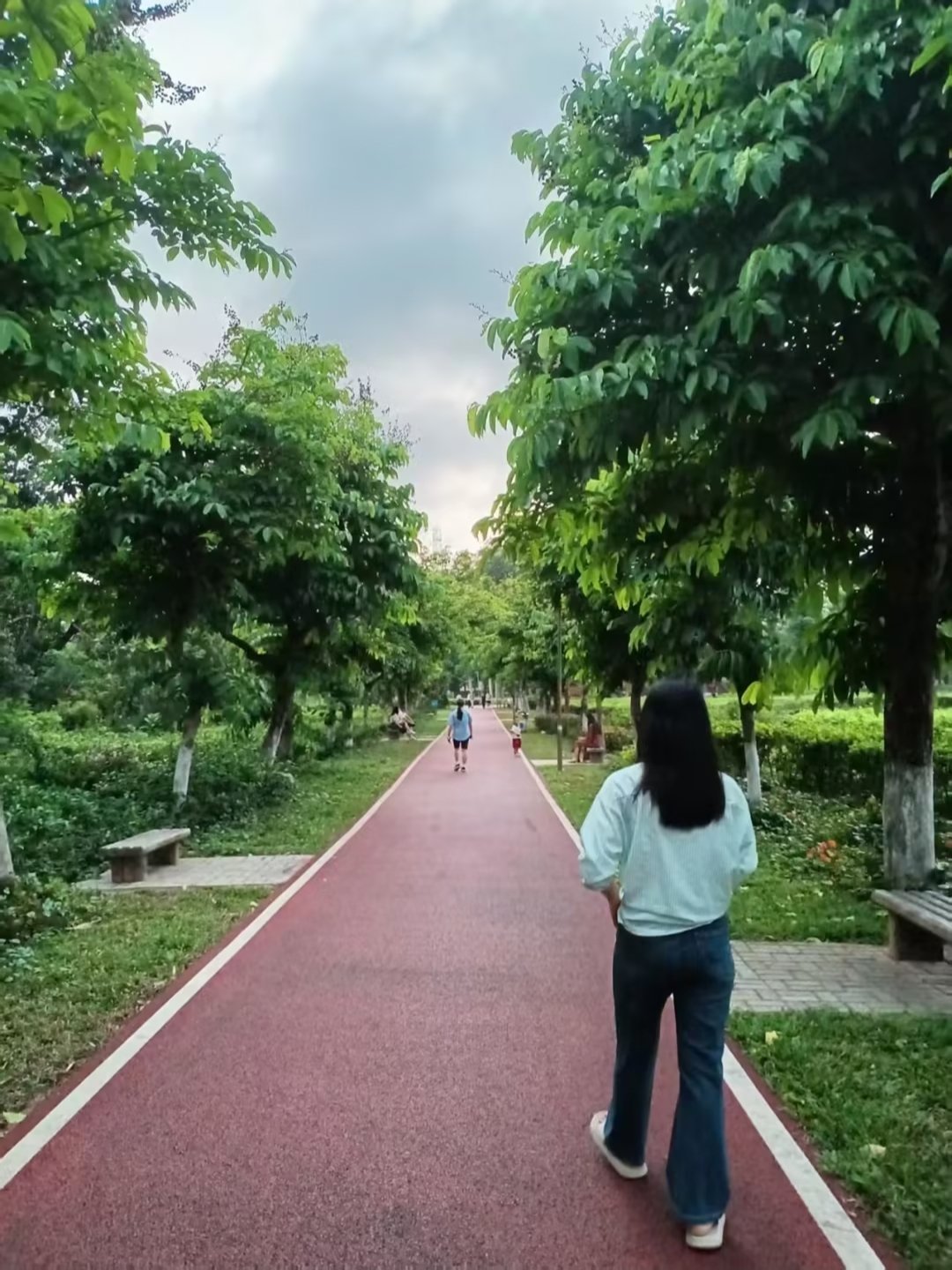 红跑道走起来像踩在棉花上，两边的大树把阳光筛成星星，下午5点来散步，风里都是青草