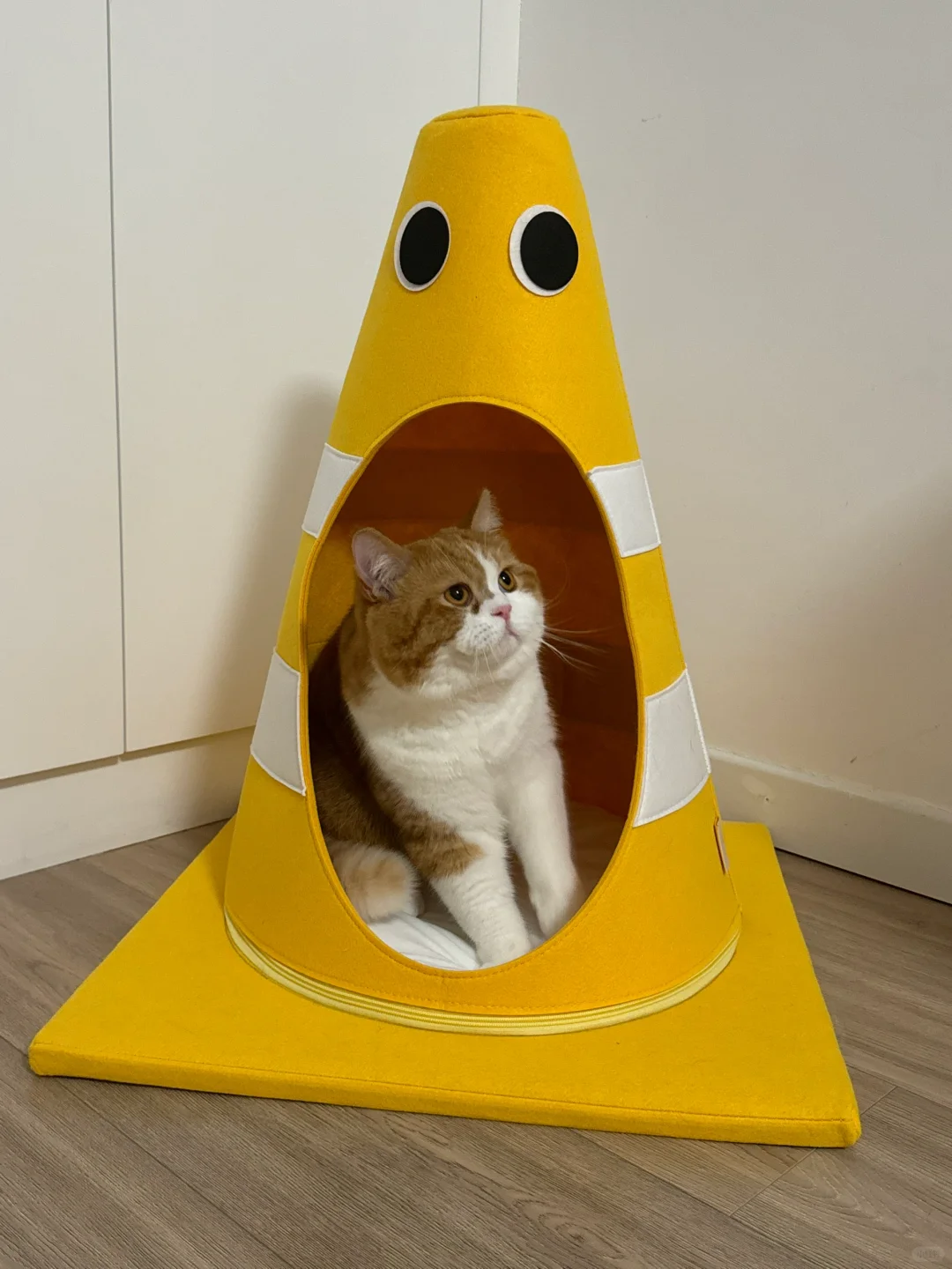 两岁了还踩奶耶