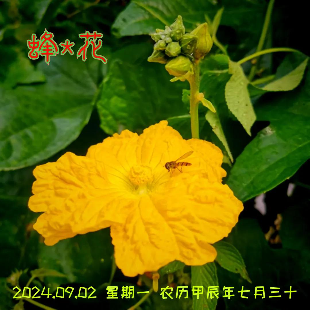 上午好！