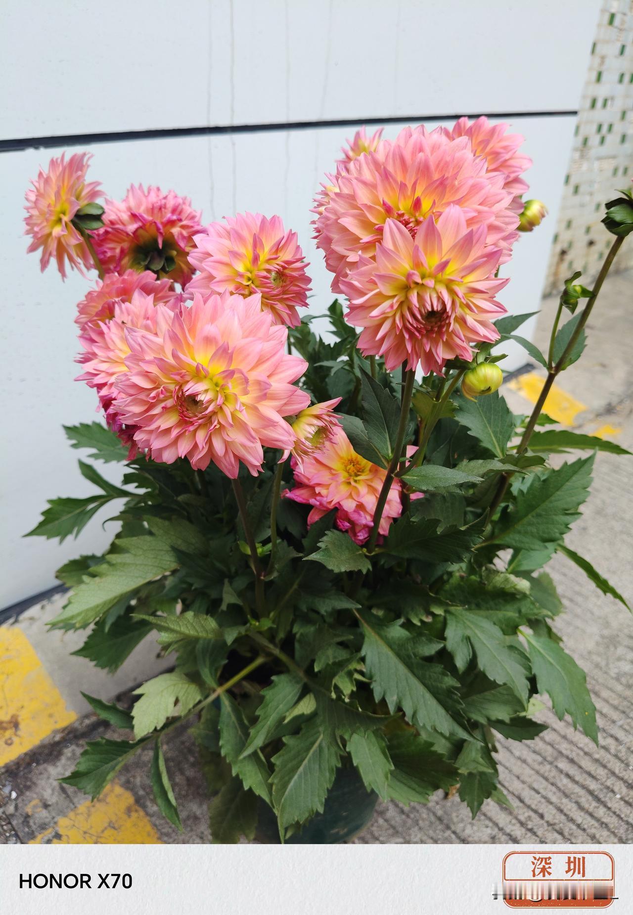 曾经是大家都喜欢的他，现在已经成了大家唯恐避之不及的瘟神。
单位的小李入职已经一