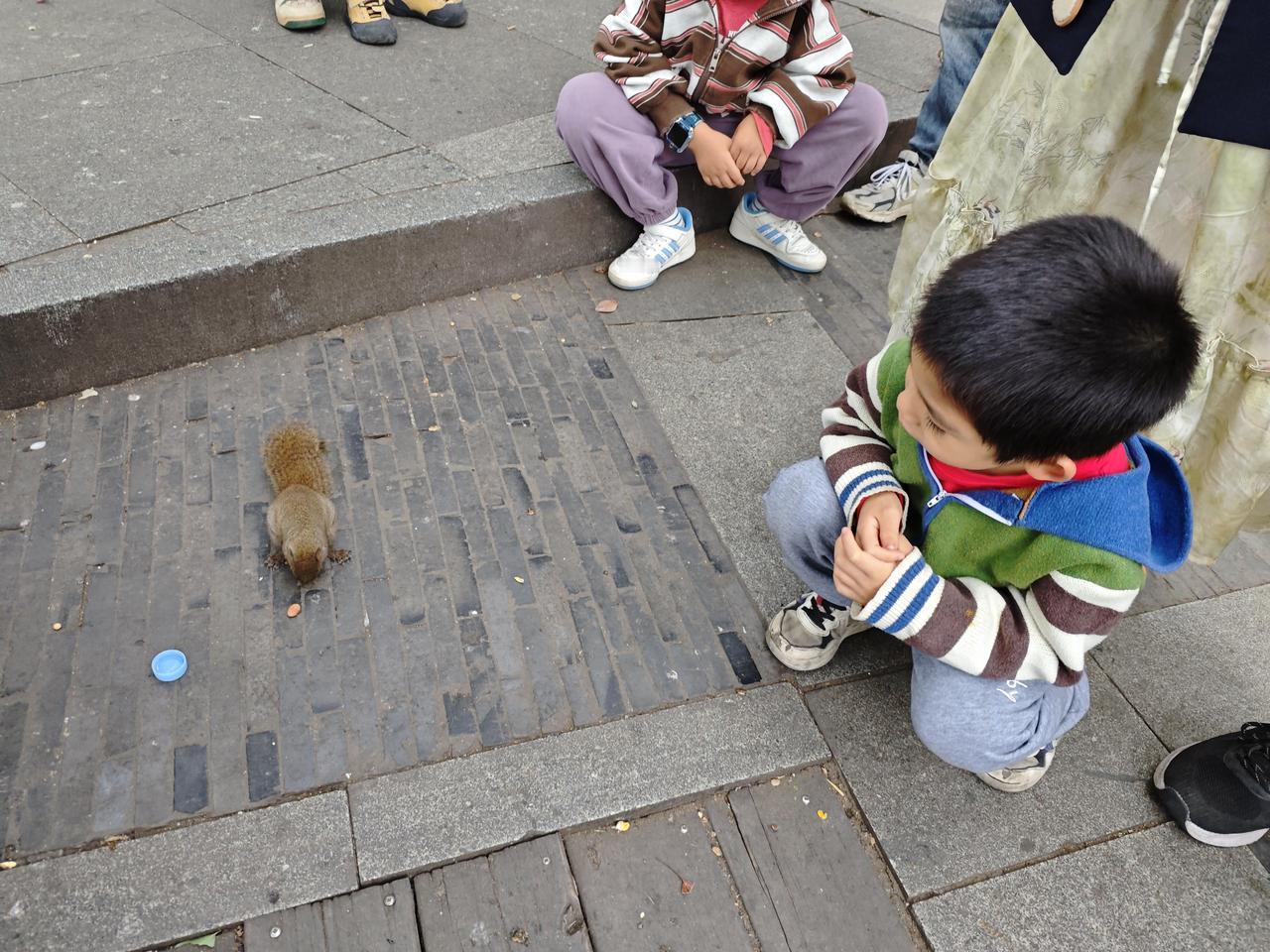 家长应该引导孩子正确看待手机的功能和作用，让他们明白手机只是一种工具，可以用来学