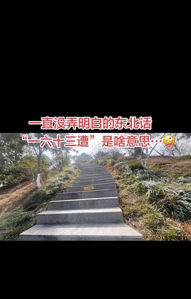 东北话“一六十三遭”（正字是“一溜十三遭”）其实就一个意思：吐槽人爱吹牛、不靠谱