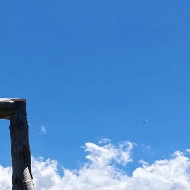 每日一善 阳光信用 只管全力以赴，不去想太多。在平淡和偶尔重复的日子里，都要保持