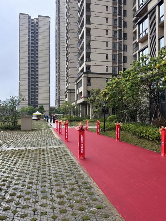 阳江！！这里这里！！又是羡慕朋友的一天！