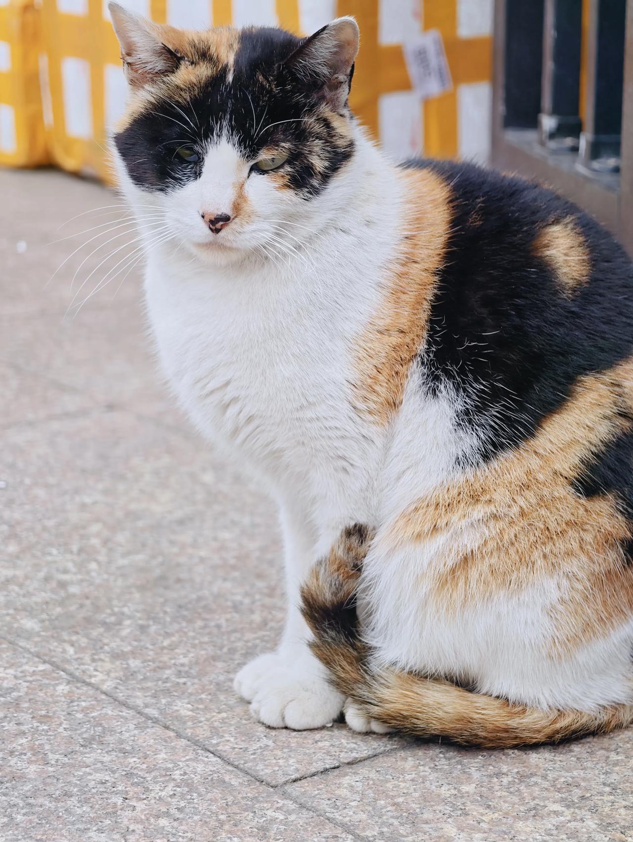 还能为了什么
为了更自由地生活！
为了不需要看人脸色行事，做自己想做的事。
