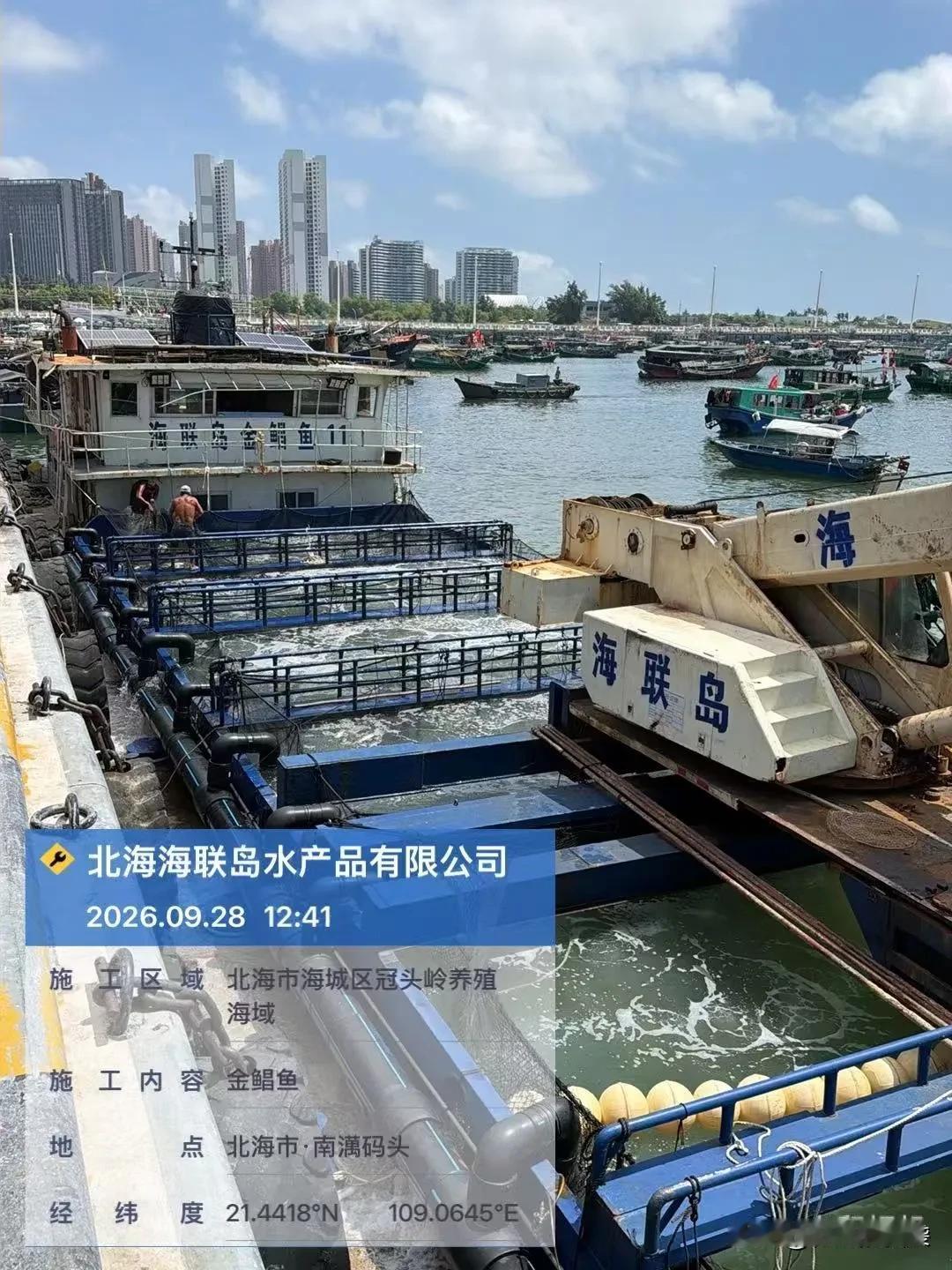 现代化的渔港，见证了北部湾明珠-北海的崛起。
平陆运河的开通，使得北部湾鲜活海鱼