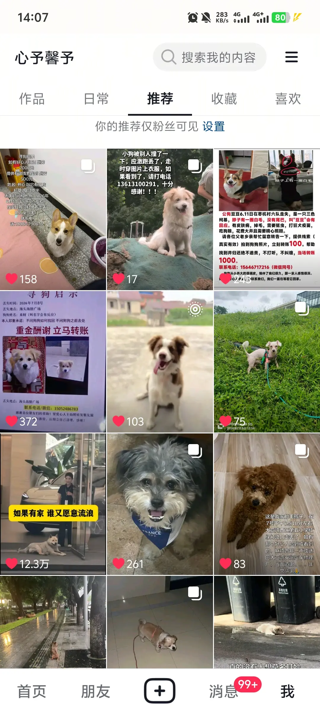 如果刷到我。可以请看看我的喜欢和推荐吗，有很多人找猫狗和猫狗找人的，谢...