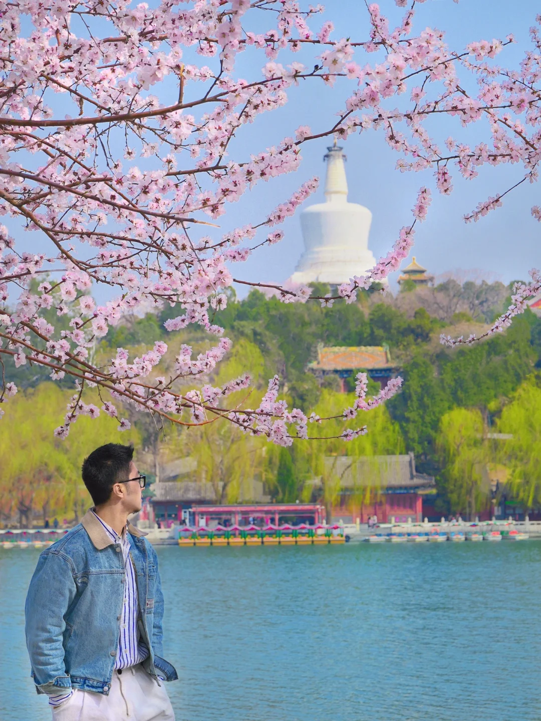 人生建议：春天一定要来一趟北京…🌸