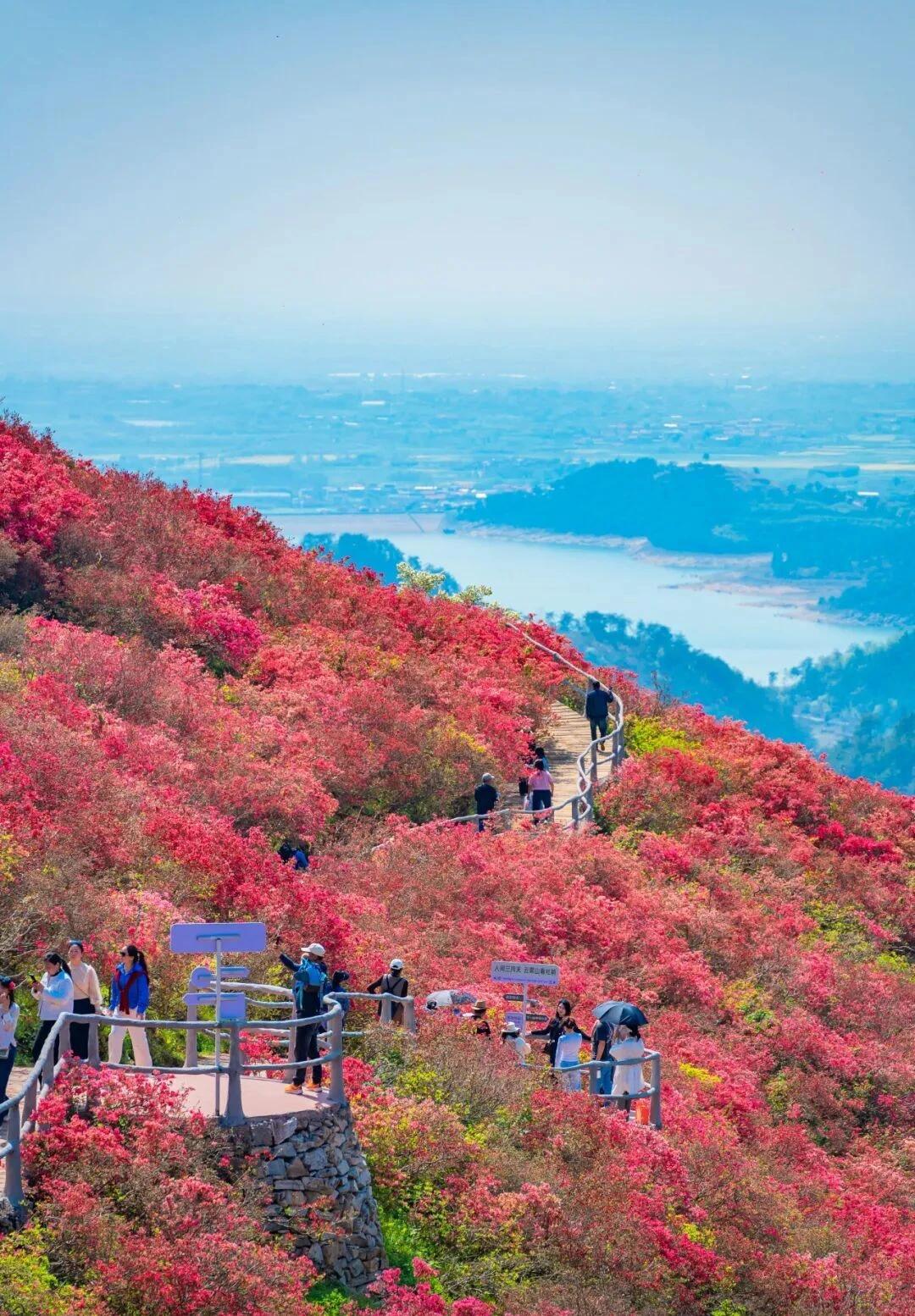 【人一辈子，最好的投资是健康；当你一无所有的时候，健康是你的底牌；当你什么都有的