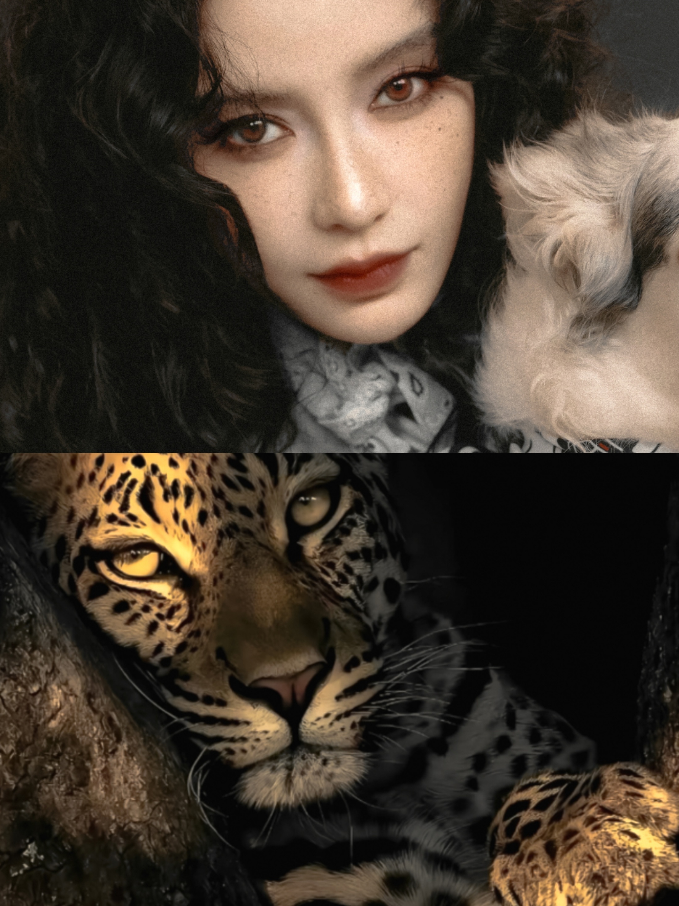 斗胆建设一下家姐的豹塑 🐆 🚧