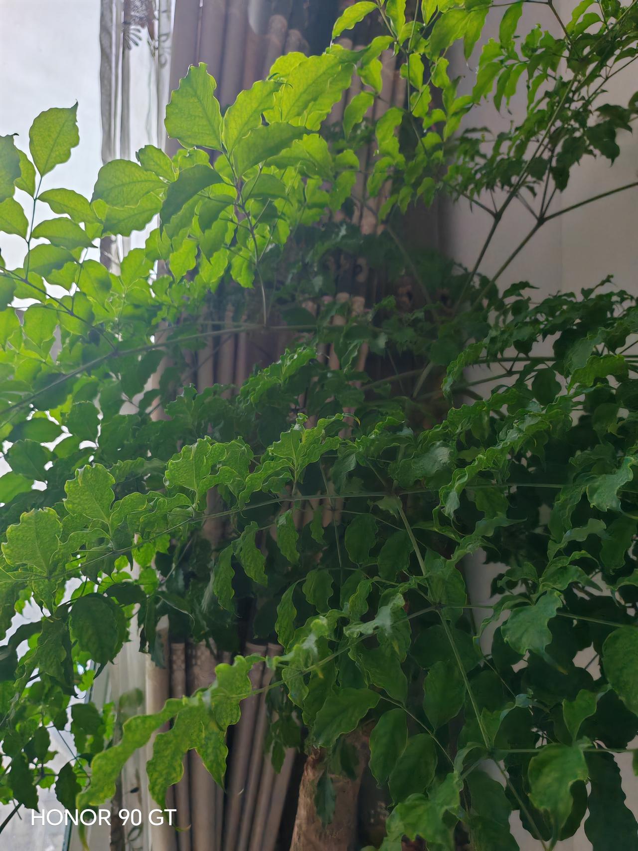 晒图笔记大赛