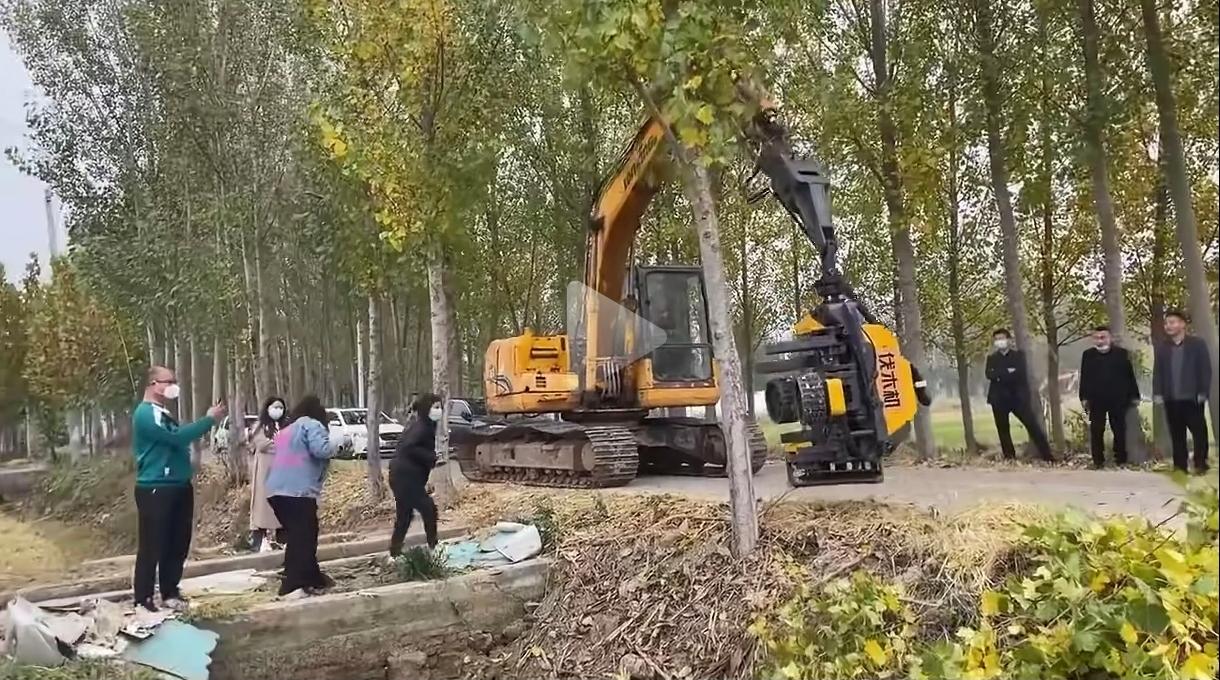 最近一段视频展示了国产伐木机的伐木过程，极大地提高了伐木的效率，解放了劳动力。