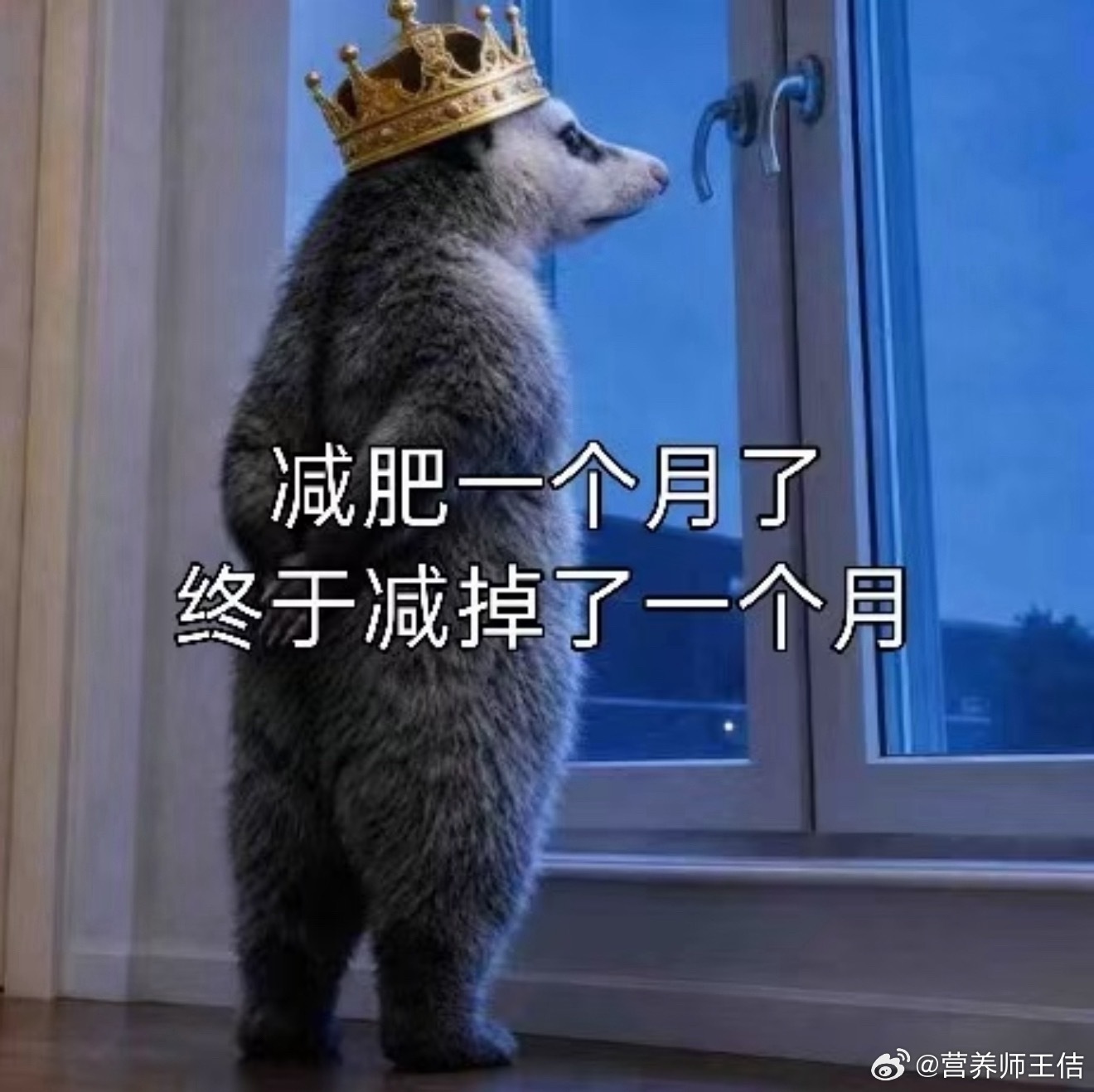 六月大家都瘦了多少？ 