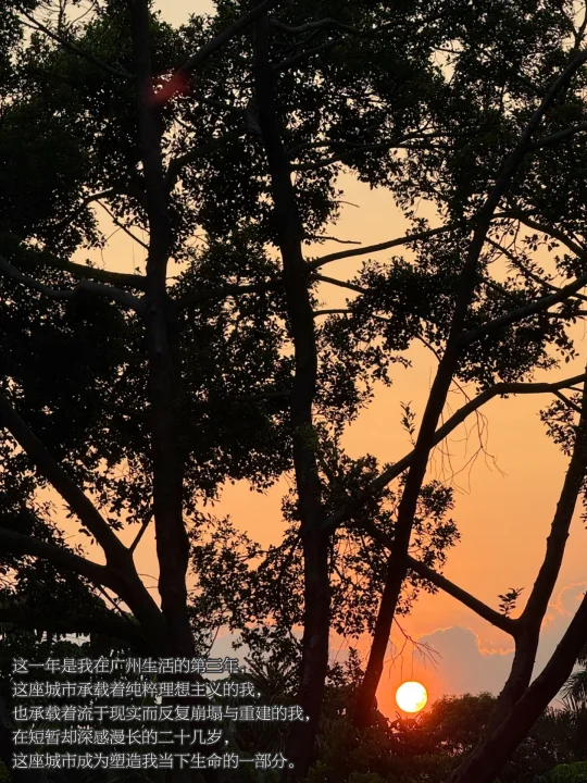 广州的公园是一个巨大的能量场。