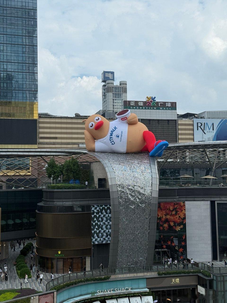 在一只鸭子身上看到了入乡随俗鸭子来了广州都得穿人字拖 广州的这只鸭子也太可爱了吧