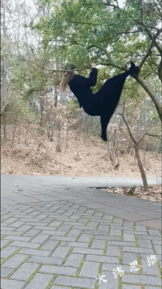 我不敢说，
其实我有个大胆的想法！