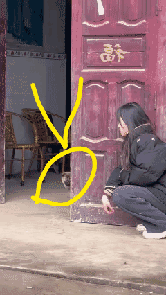 到底谁是狗？
到底谁耍弄了谁？