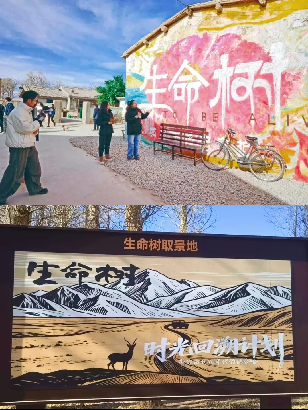 德令哈逛生命树｜打卡杨紫同款阿斯玛炕锅